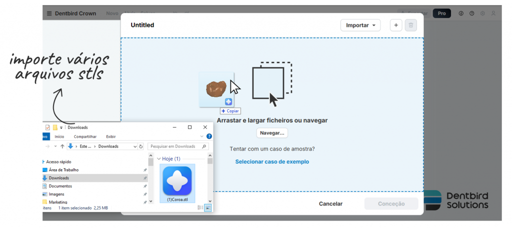 Importe vários arquivos stls para dentro do Dentibird usando inteligencia artificial